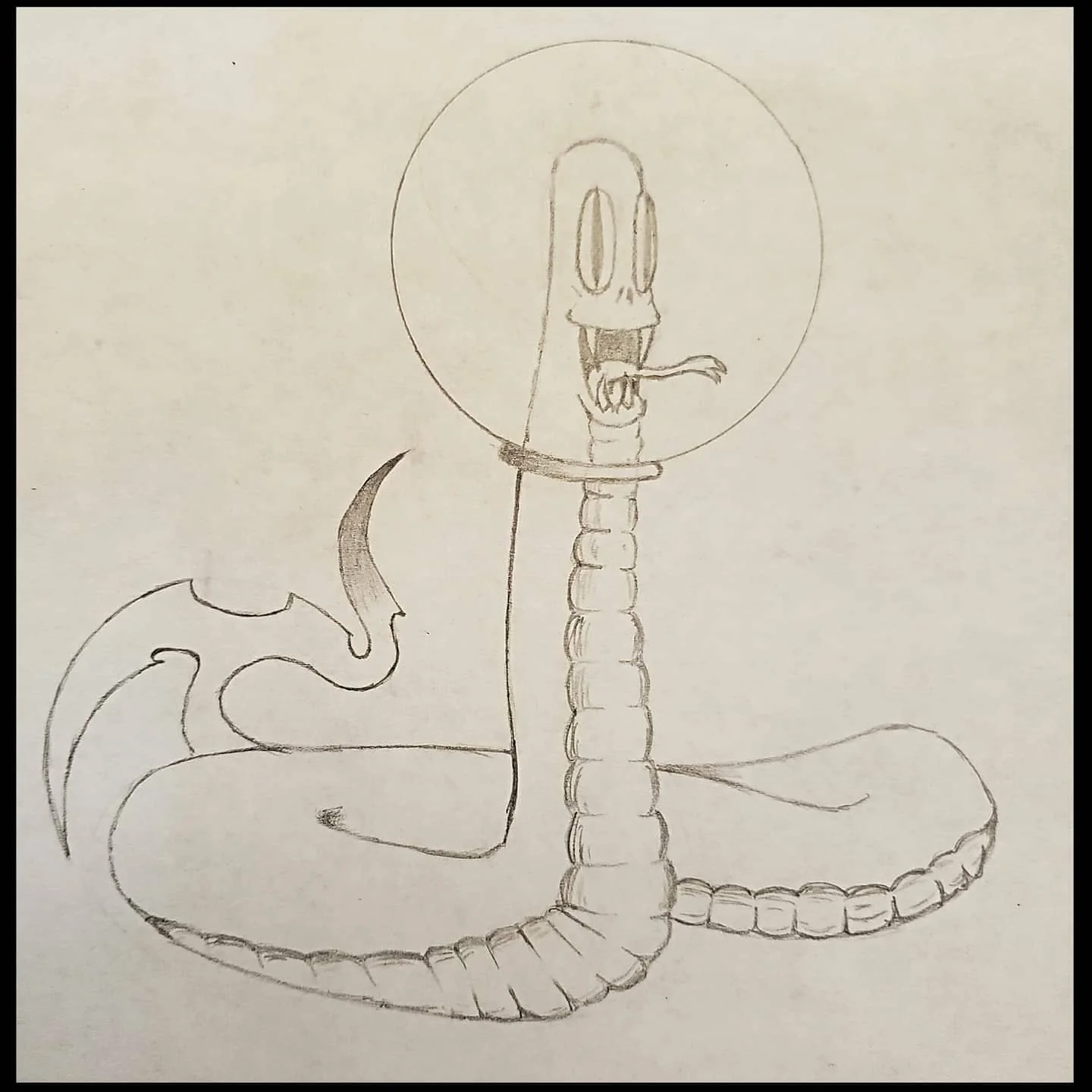 Pencil drawing of a segmented worm-like creature with a round head inside a circular frame